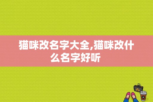 猫咪改名字大全,猫咪改什么名字好听 