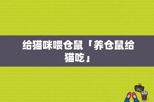  给猫咪喂仓鼠「养仓鼠给猫吃」